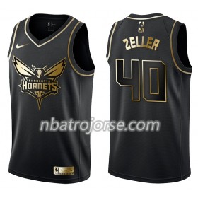 Män Charlotte Hornets Tröja Cody Zeller 40 Nike Svart Guld Edition Swingman